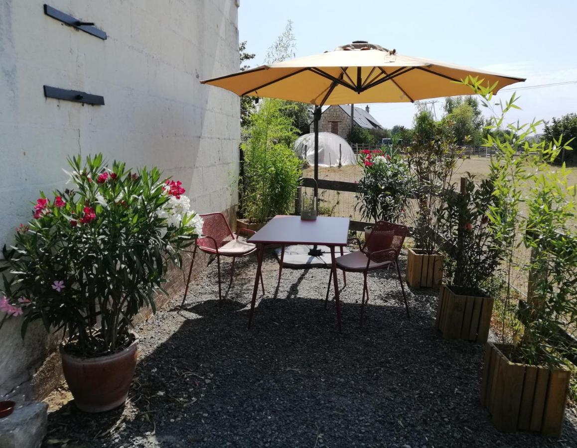 Bel Appt 3 Pieces, A L'Etage, Jardin Privatif, Au Calme, 10 Mn Saumur Et Cnpe Varennes-sur-Loire エクステリア 写真
