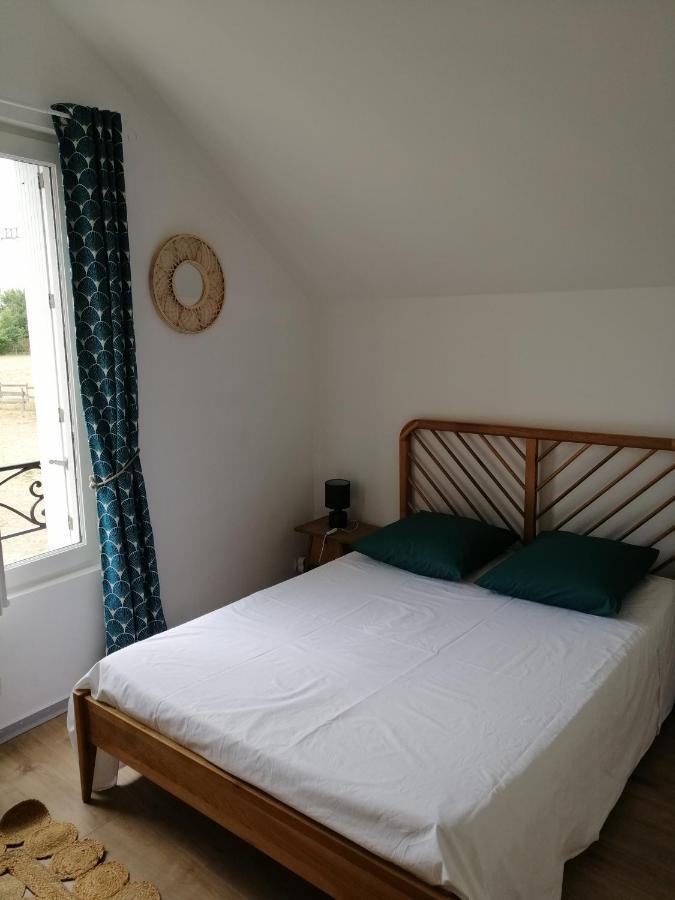 Bel Appt 3 Pieces, A L'Etage, Jardin Privatif, Au Calme, 10 Mn Saumur Et Cnpe Varennes-sur-Loire エクステリア 写真